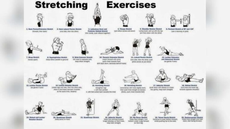How to Stretch Properly After Exercise: Ultimate Guide for Flexibility