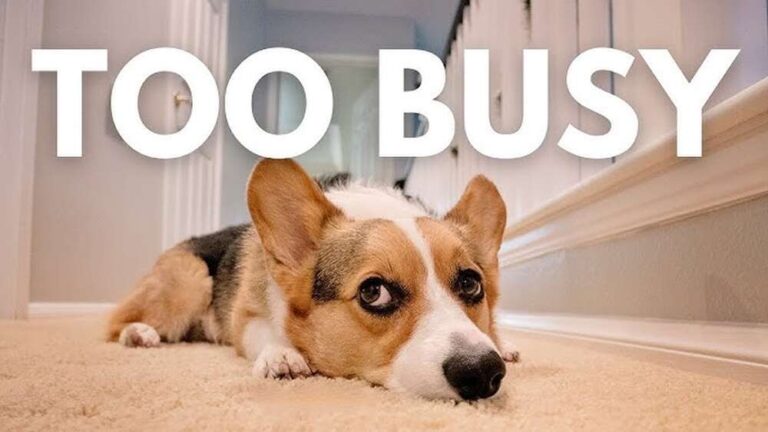 How to Train When You Have a Busy Schedule: Smart Tips for Success