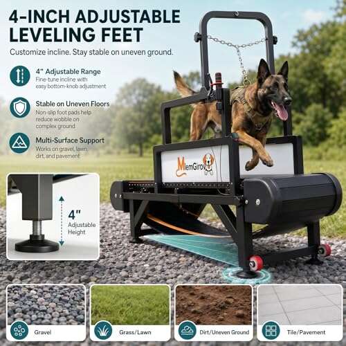 Best Dog Treadmill For Large Dogs