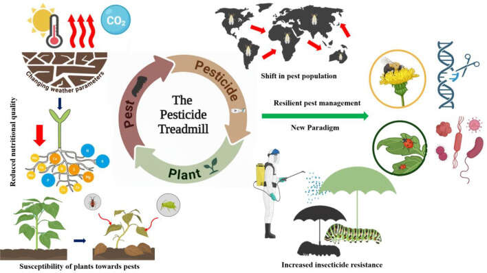 What Is The Pesticide Treadmill
