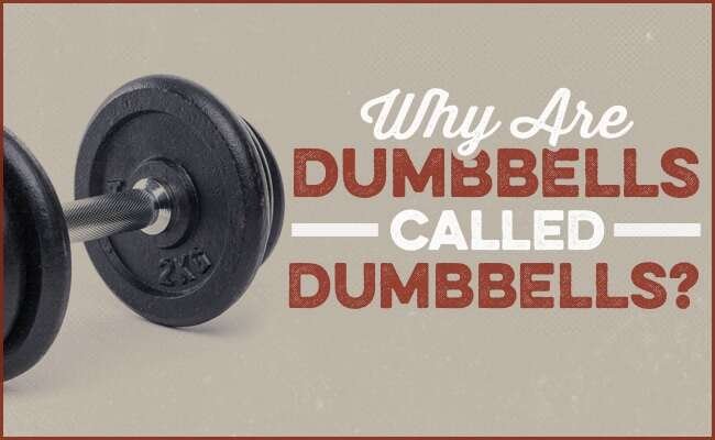 What Are The Long Dumbbells Called